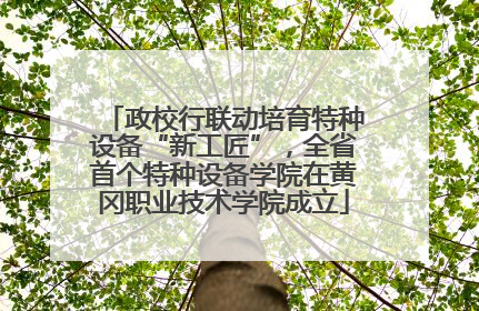 政校行联动培育特种设备“新工匠”，全省首个特种设备学院在黄冈职业技术学院成立